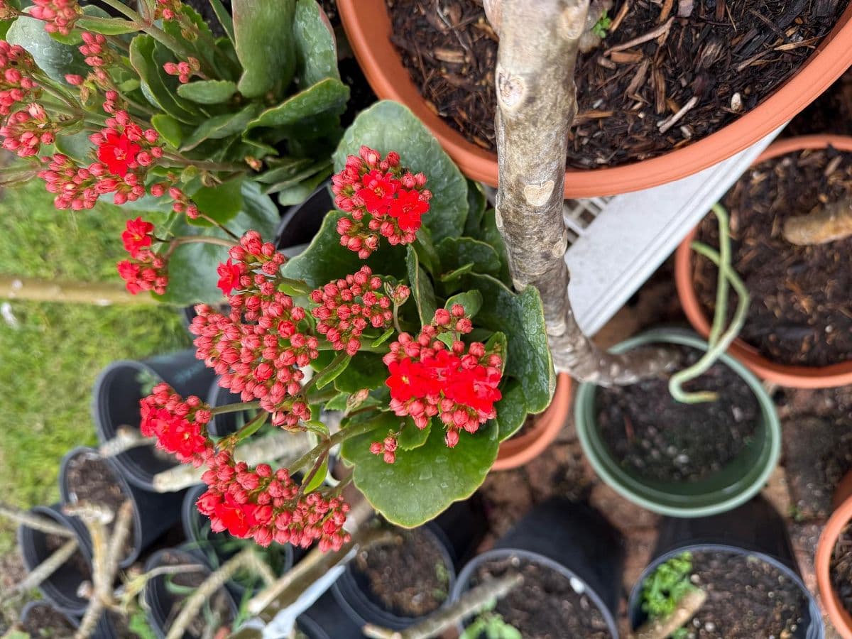 Garage Sale — 3016 S Peninsula Dr, Daytona Beach photo 4